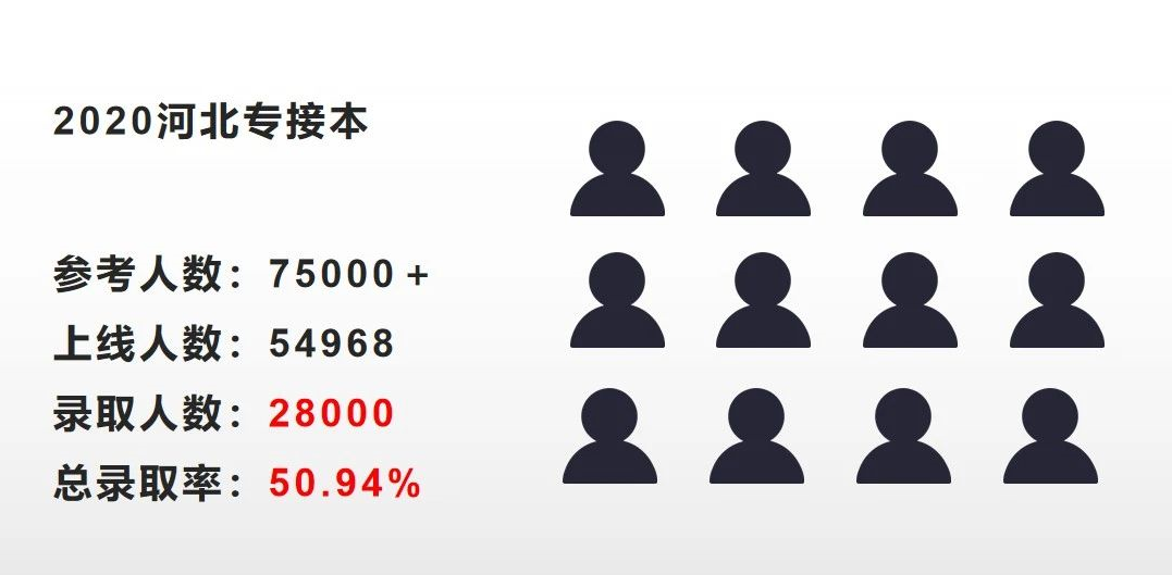 河北专接本报考人数