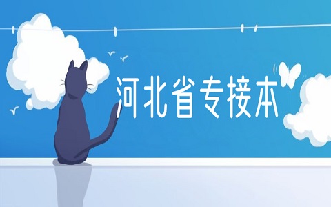 河北省专接本 一分一档表是什么