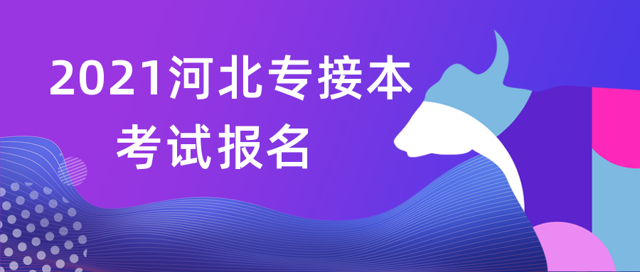 2021河北专接本考试可以在手机上报名吗?