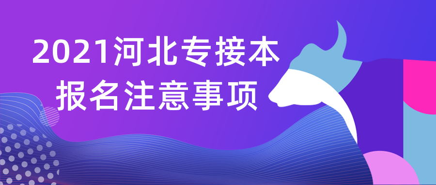 河北专接本考试报名时需注意这五点