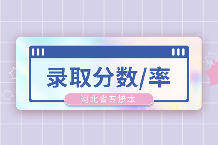 河北专接本汉语言文学录取率