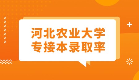 河北农业大学专接本录取率.jpg