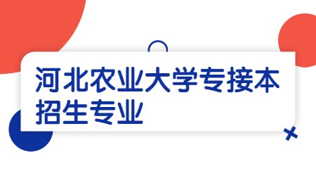 河北农业大学专接本招生专业.jpg