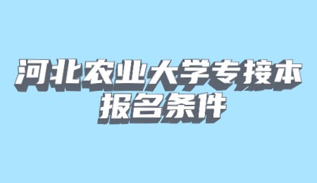 河北农业大学专接本报名条件.jpg