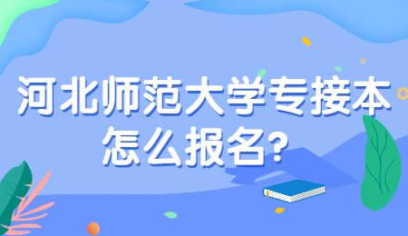 河北师范大学专接本怎么报名？.jpg