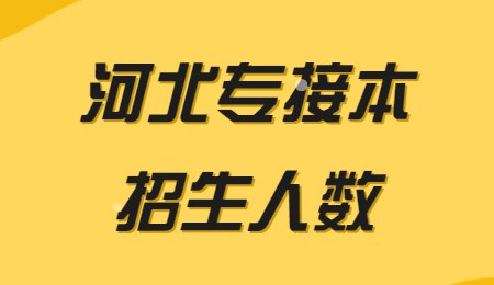 河北专接本招生人数.jpg