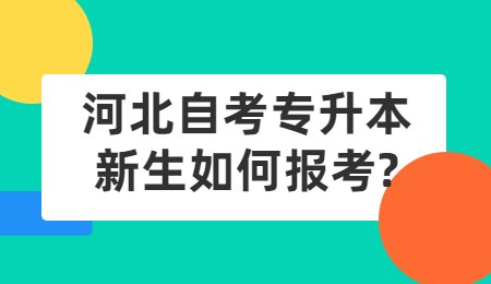 河北自考专升本新生如何报考_.jpg