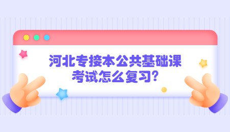 河北专接本公共基础课考试怎么复习？.jpg