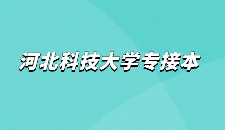 河北科技大学专接本.jpg