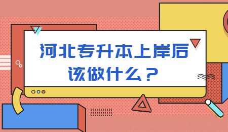 河北专升本上岸后该做什么？