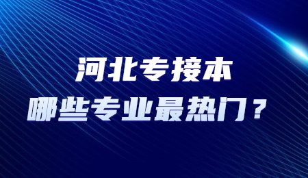 河北专接本哪些专业最热门？