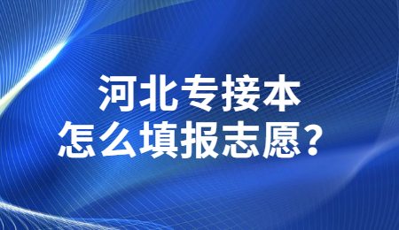 河北专接本怎么填报志愿？