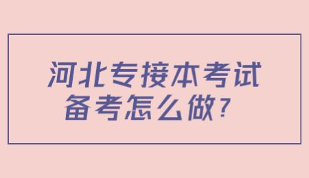 河北专接本考试备考怎么做？