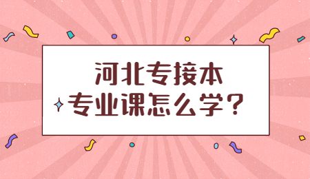 河北专接本专业课怎么学？