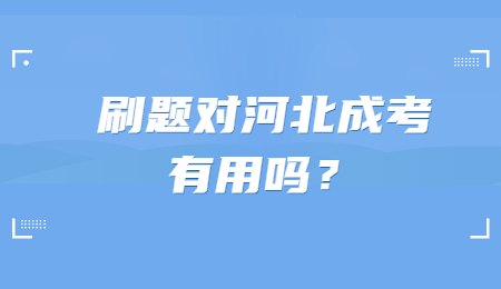 刷题对河北成考有用吗？