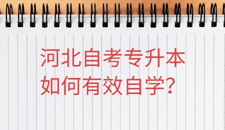 河北自考专升本如何有效自学？