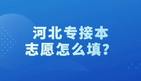 河北专接本志愿怎么填？