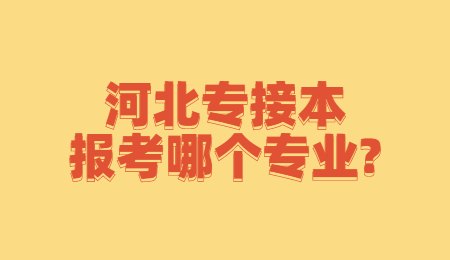 河北专接本报考哪个专业?