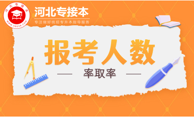 2023河北专升本报考人数8.8W+，录取率低至9.07%！